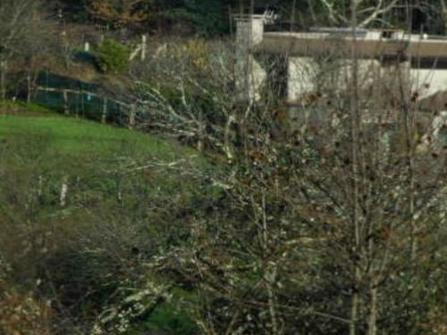 Casa o xalet en venda a Camiño da Candosa, Mos