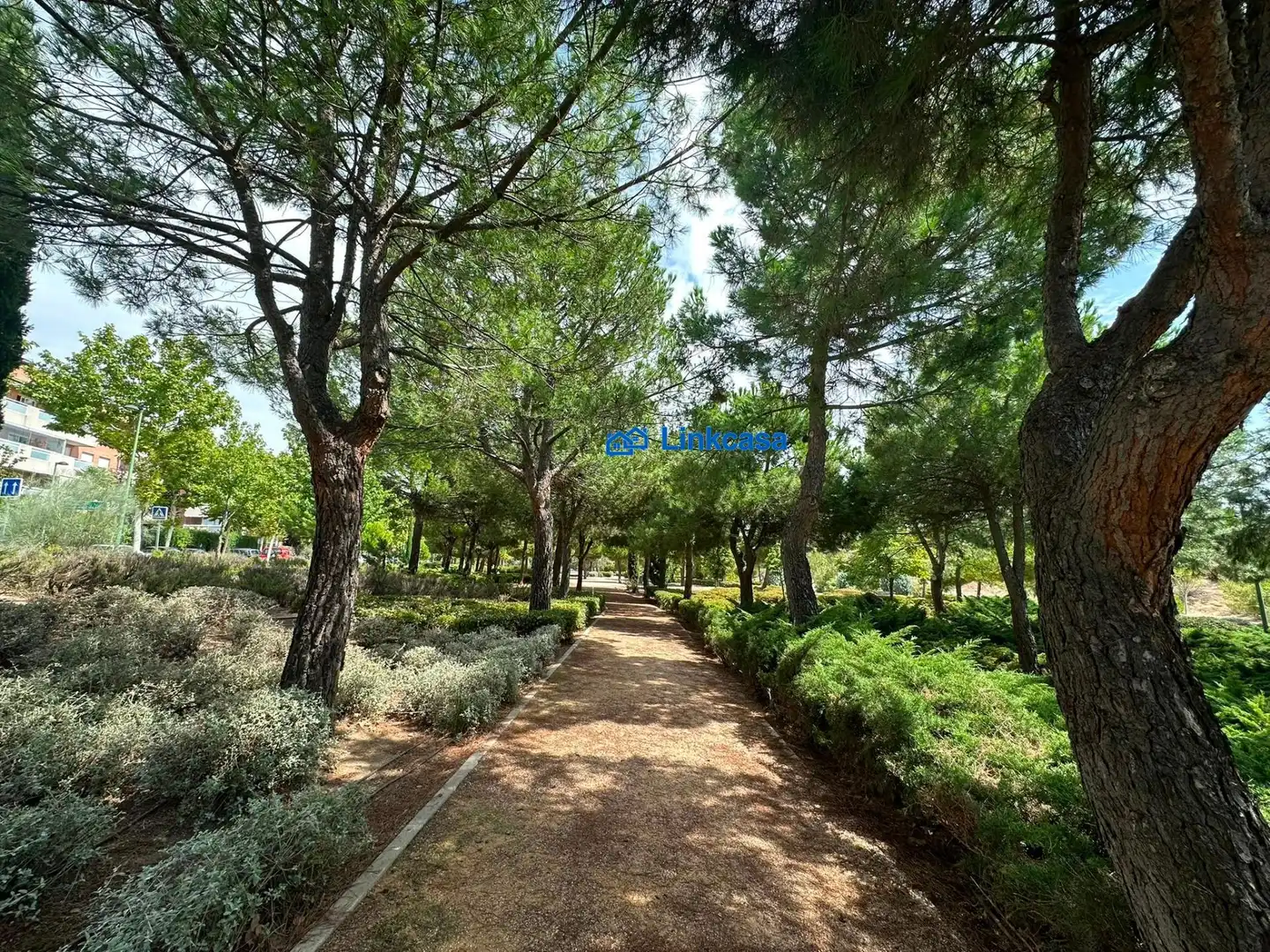 Pis amb terrassa en venda a Prado de Somosaguas - La Finca, imagen 11