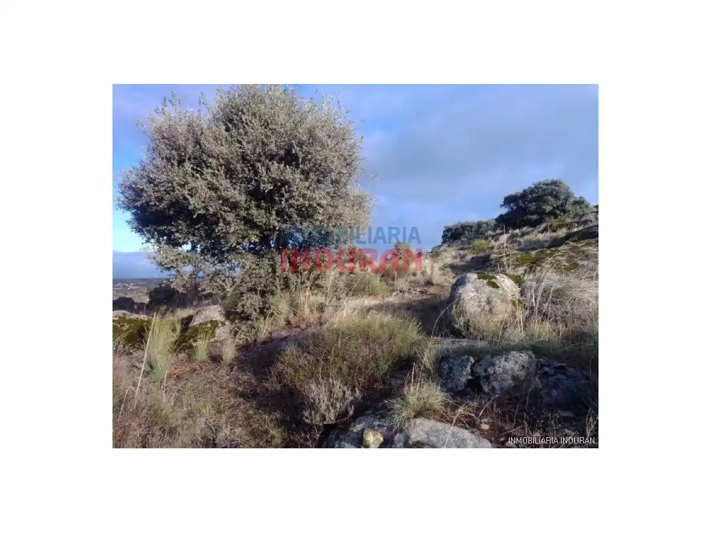 Casa en venda a Villar del Pedroso, imagen 8
