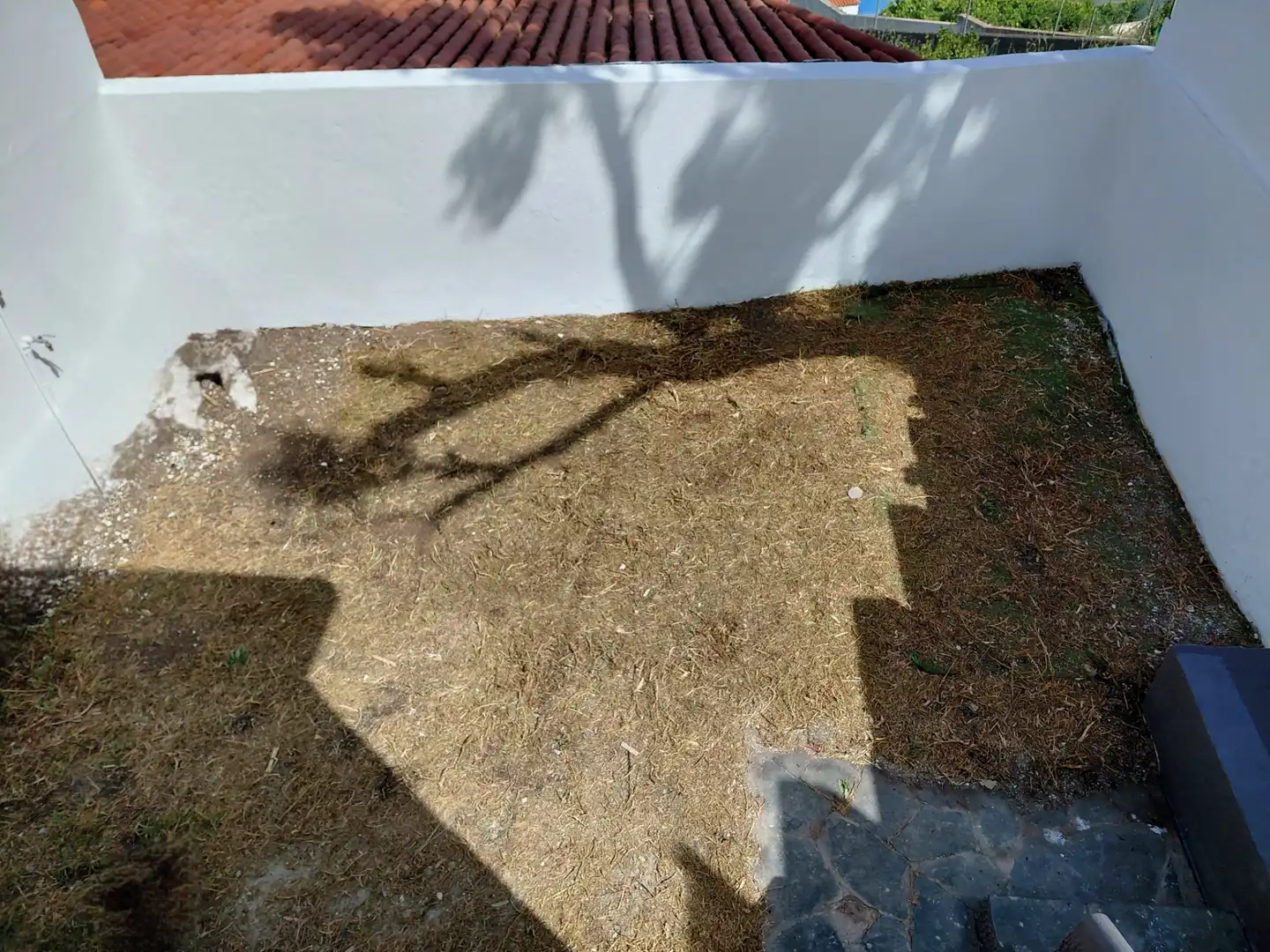 Jardín de Casa adosada de alquiler en Santa Brígida con Jardín privado, Amueblado y Horno