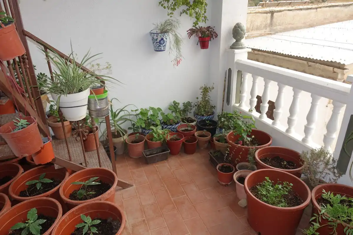 Maison avec terrasse à vendre à Torvizcón, imagen 23