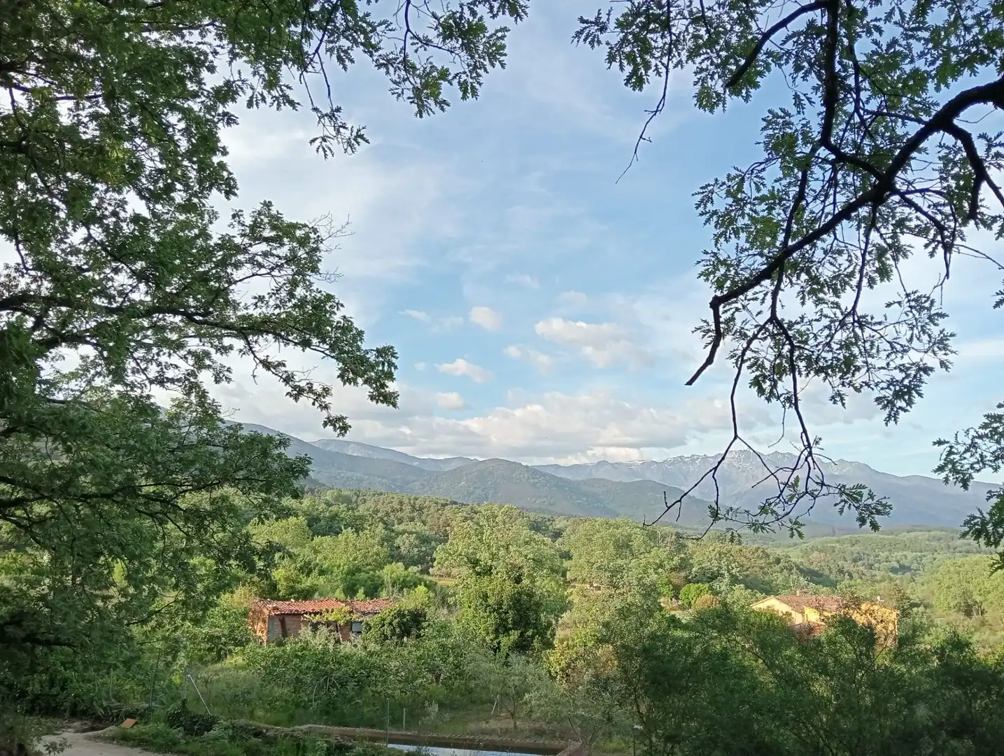 Vista exterior de Terreno en venta en Villanueva de la Vera