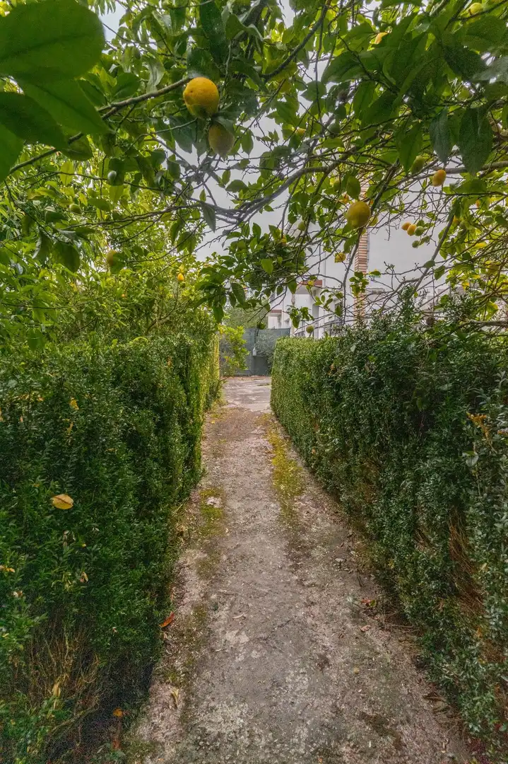 Vista exterior de Apartamento en venta en Madrid