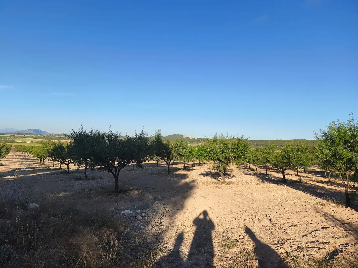 Terreny rústic en venda a Moratalla, imagen 4