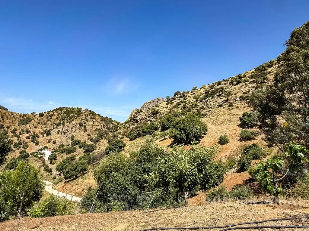 Casa rústica en venta en Poligono 2 Paraje 249 Teja, imagen 29
