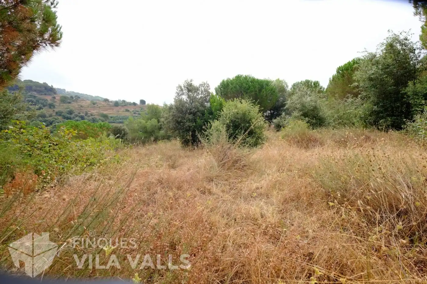 Terrenys i solars en venda a vinyetes, imagen 10