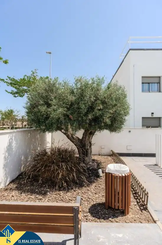 Ático con piscina en venta en Torre de la Horadada, imagen 30
