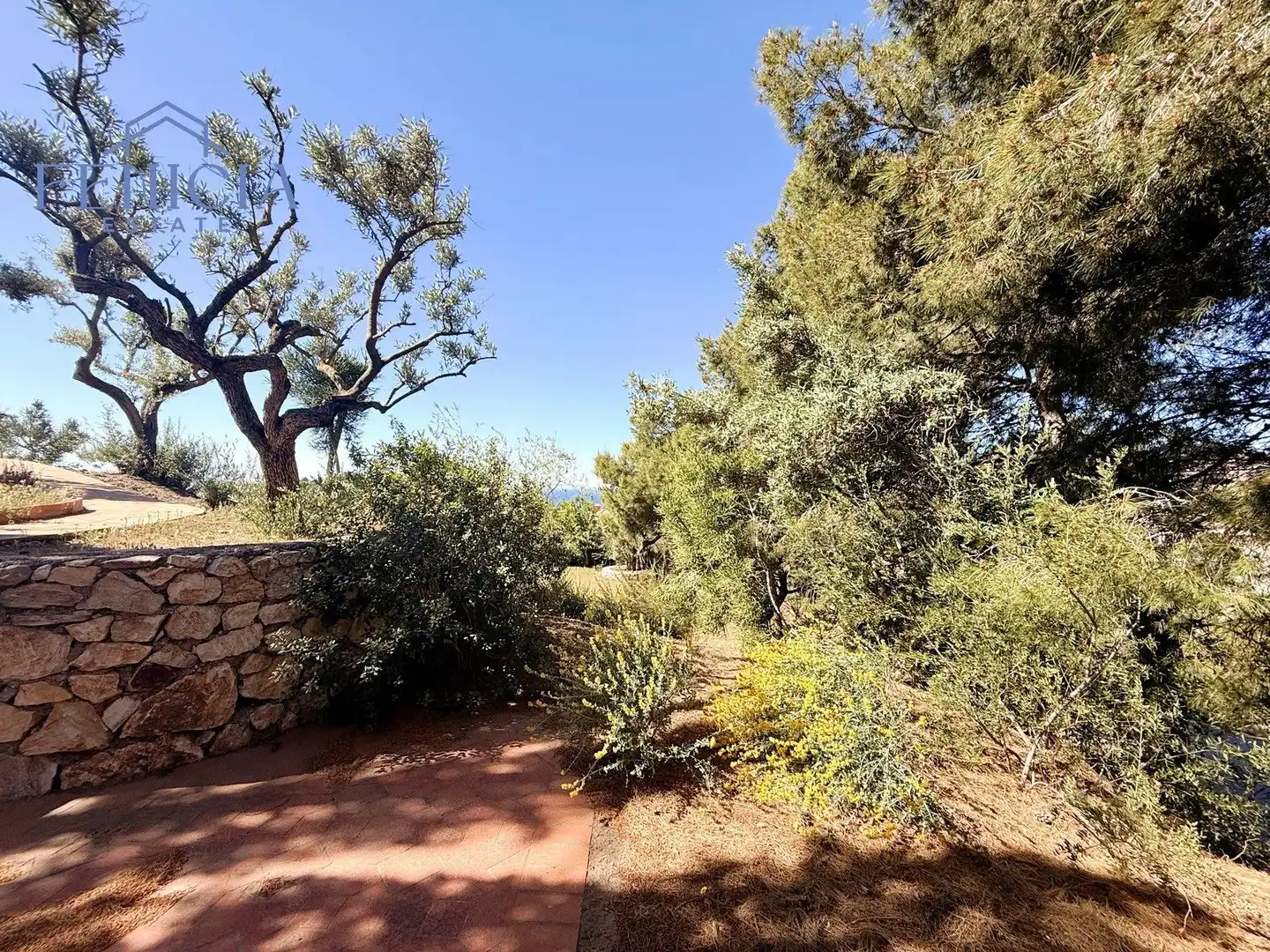 Jardín de Casa o chalet en venta en Almuñécar con Jardín privado, Terraza y Trastero