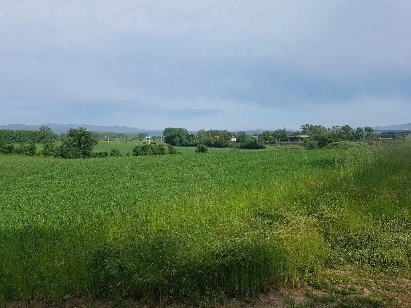 Finca rústica en venta en Pinós
