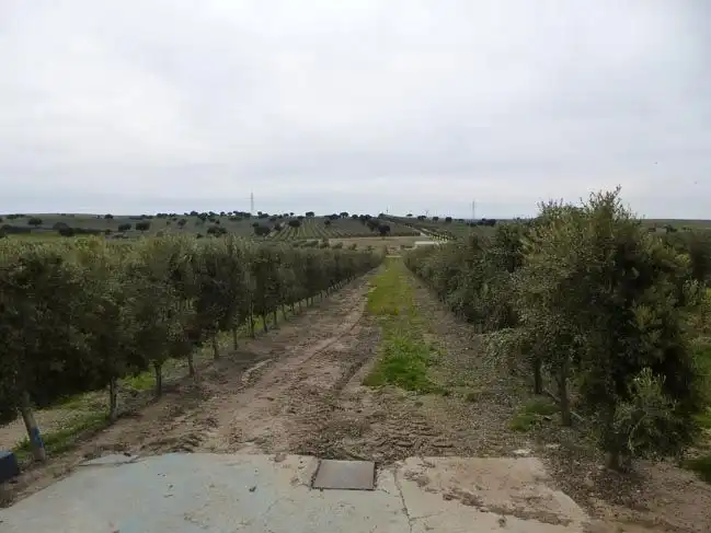 Land for sale in Toledo