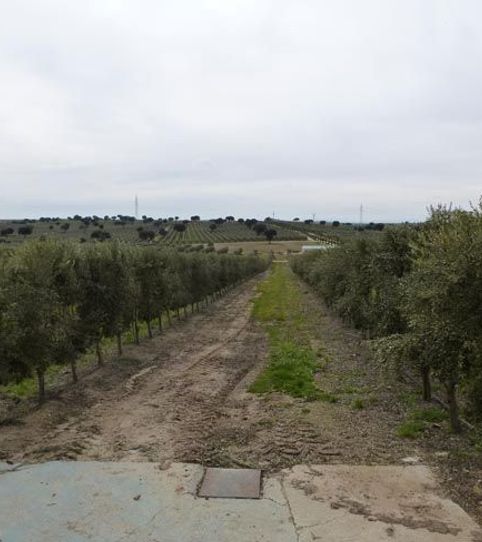 Photo 2 of Land for sale in Antequeruela y Covachuelas, Toledo Capital