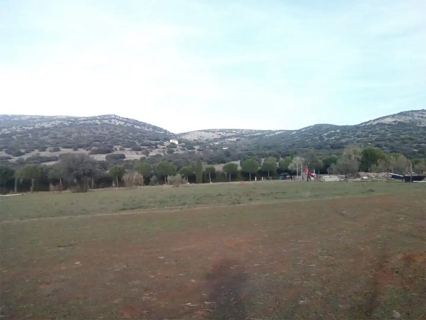 Land for sale in Moral de Calatrava