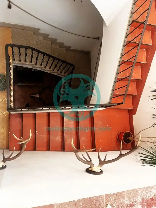 House with terrace for sale in Calle Tintoreros, imagen 4