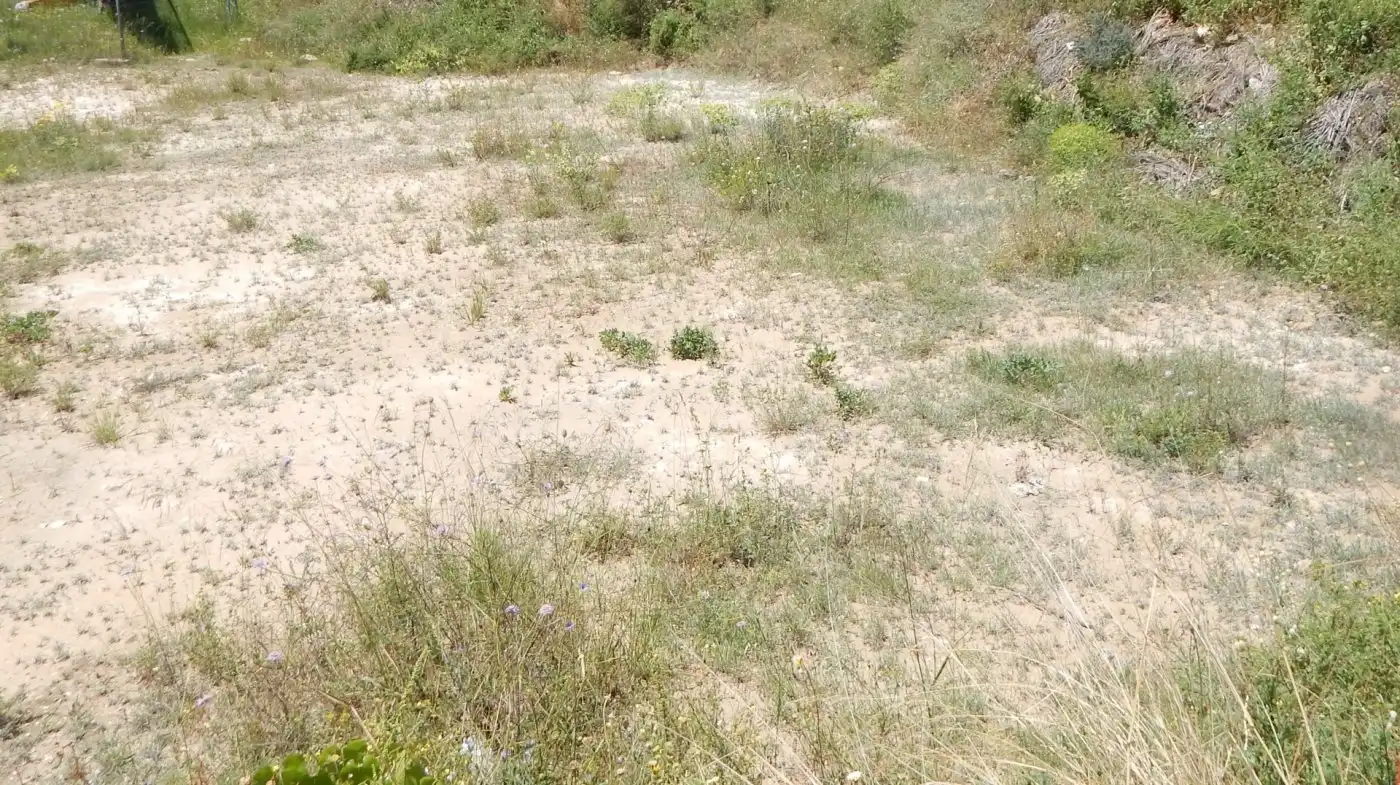 Terreny residencial en venda a Aielo de Malferit, imagen 2