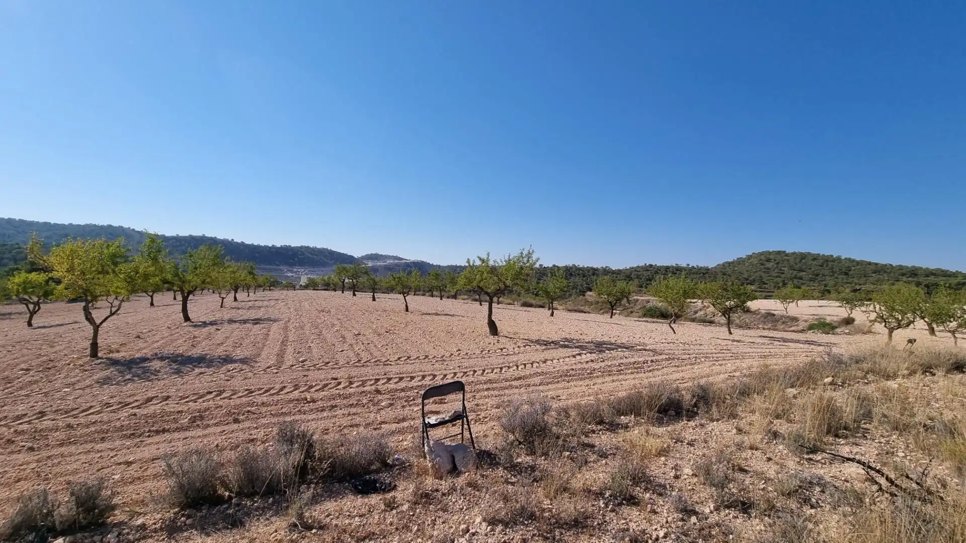 Lands and plots for sale in Abanilla, imagen 3