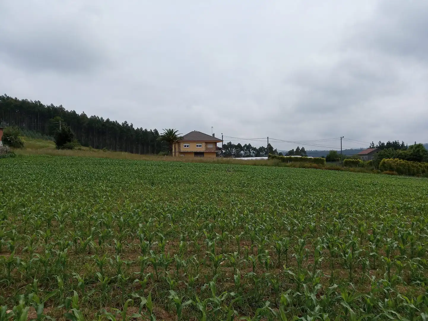 Wohnbaugrundstück zum Verkauf in Carballo, imagen 9