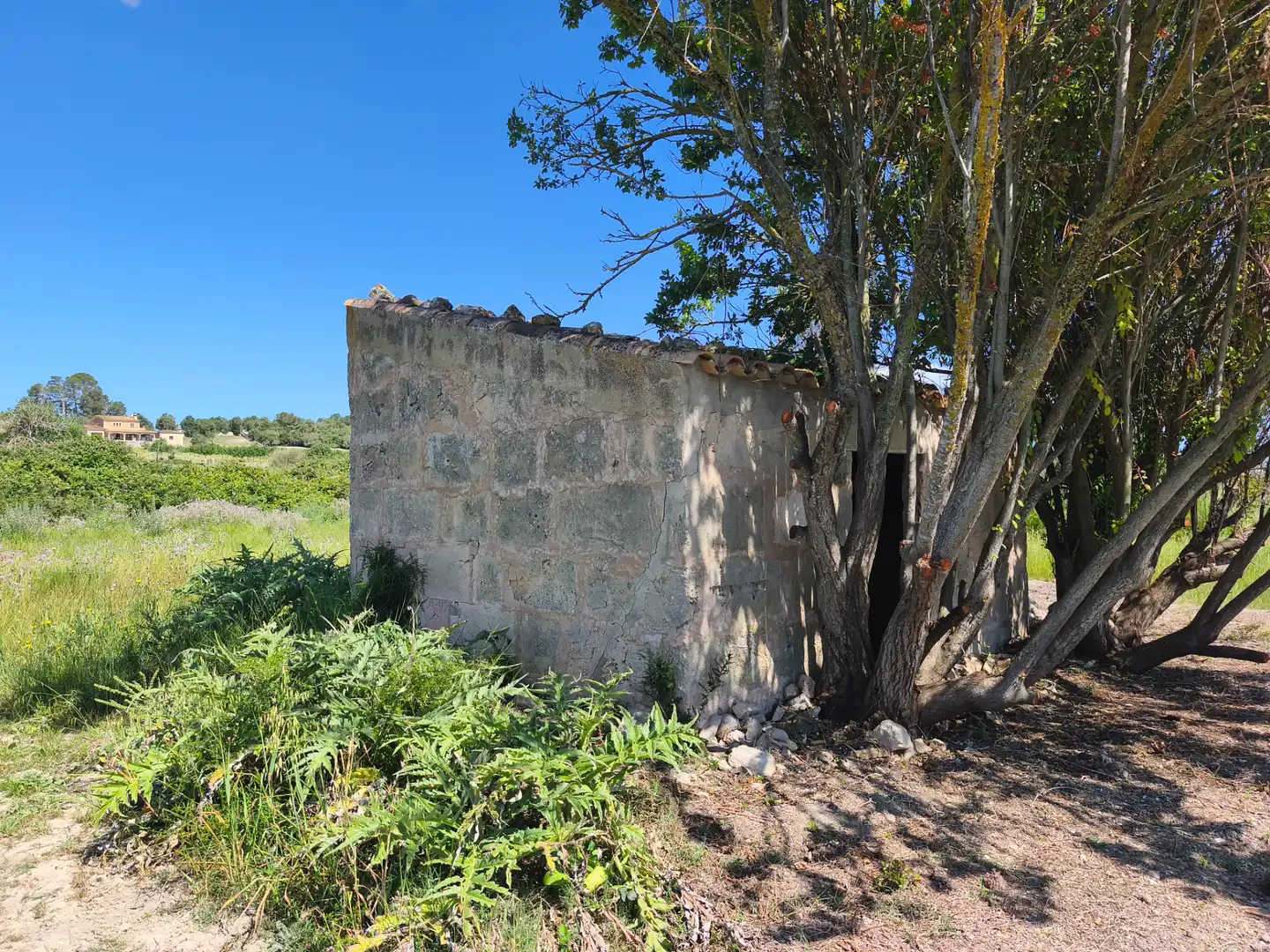 Terreno rustico in vendita a Maria de la Salut, imagen 4