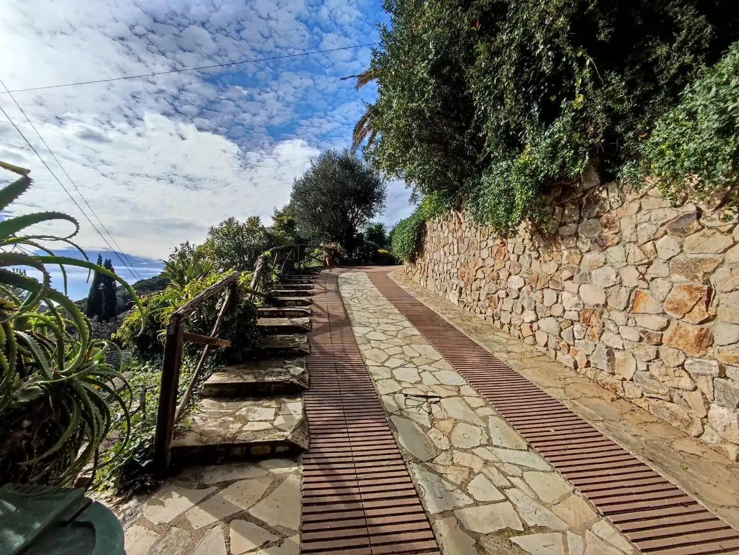 Casa amb jardí en venda a Carrer Carrer Montseny, imagen 51