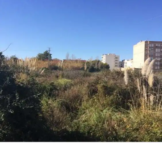 Rural land for sale in Sueca ciudad, imagen 8