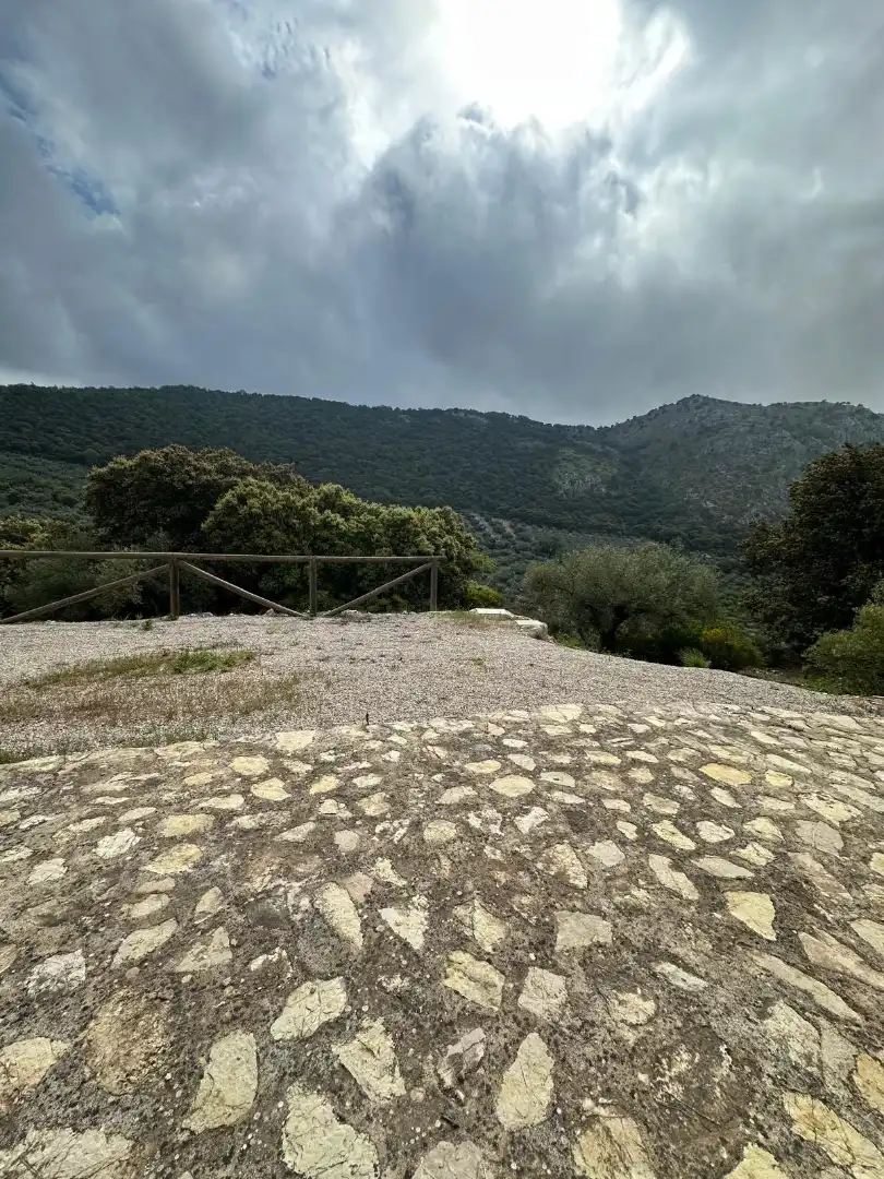 Terreni e lotti in vendita a Alfarnate, imagen 46