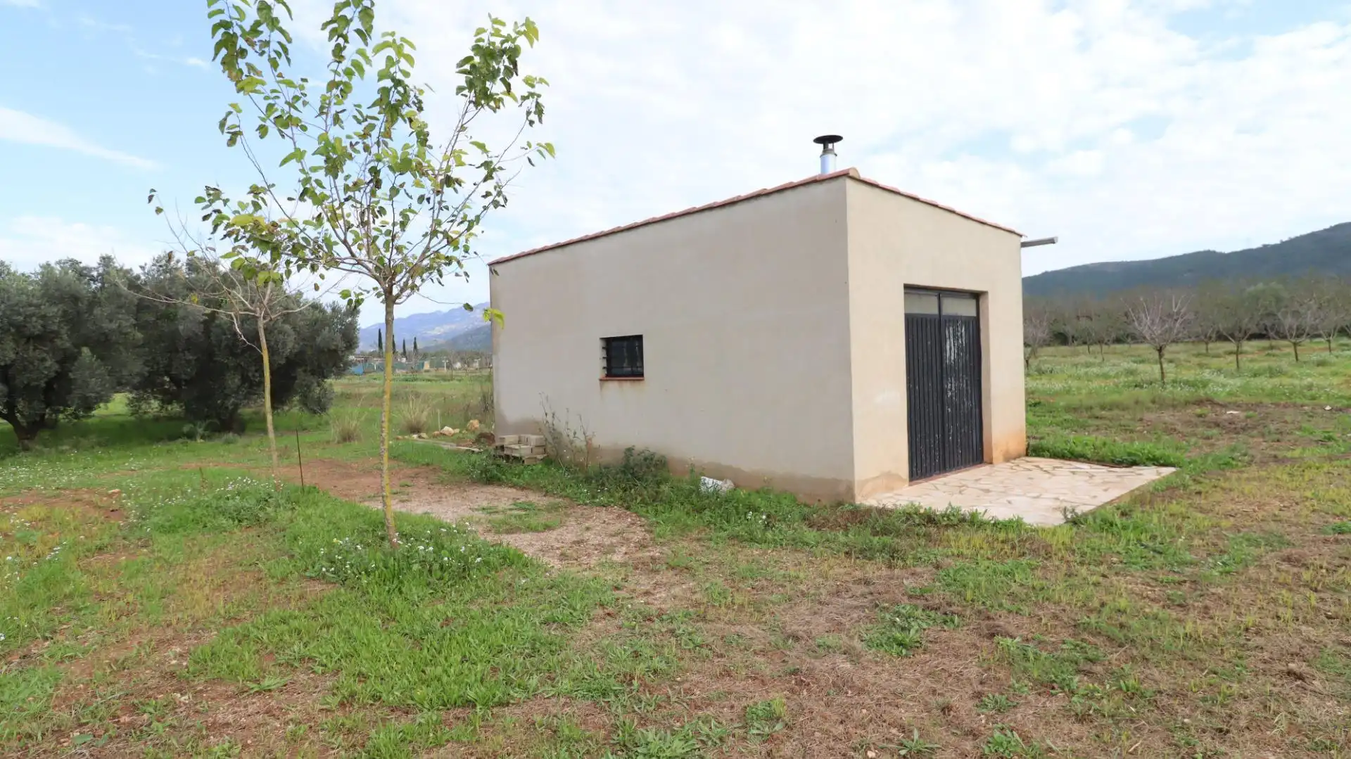 Terreny rústic en venda a Ulldecona, imagen 4