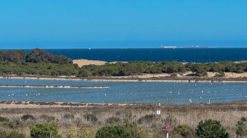 Foto 5 de Casa o xalet en venda a Holanda, La Marina, Alicante