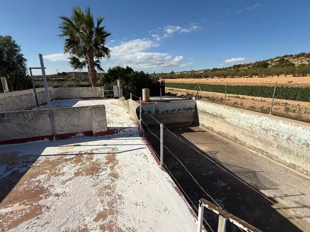 Vista exterior de Finca rústica en venta en Elche / Elx con Terraza y Amueblado