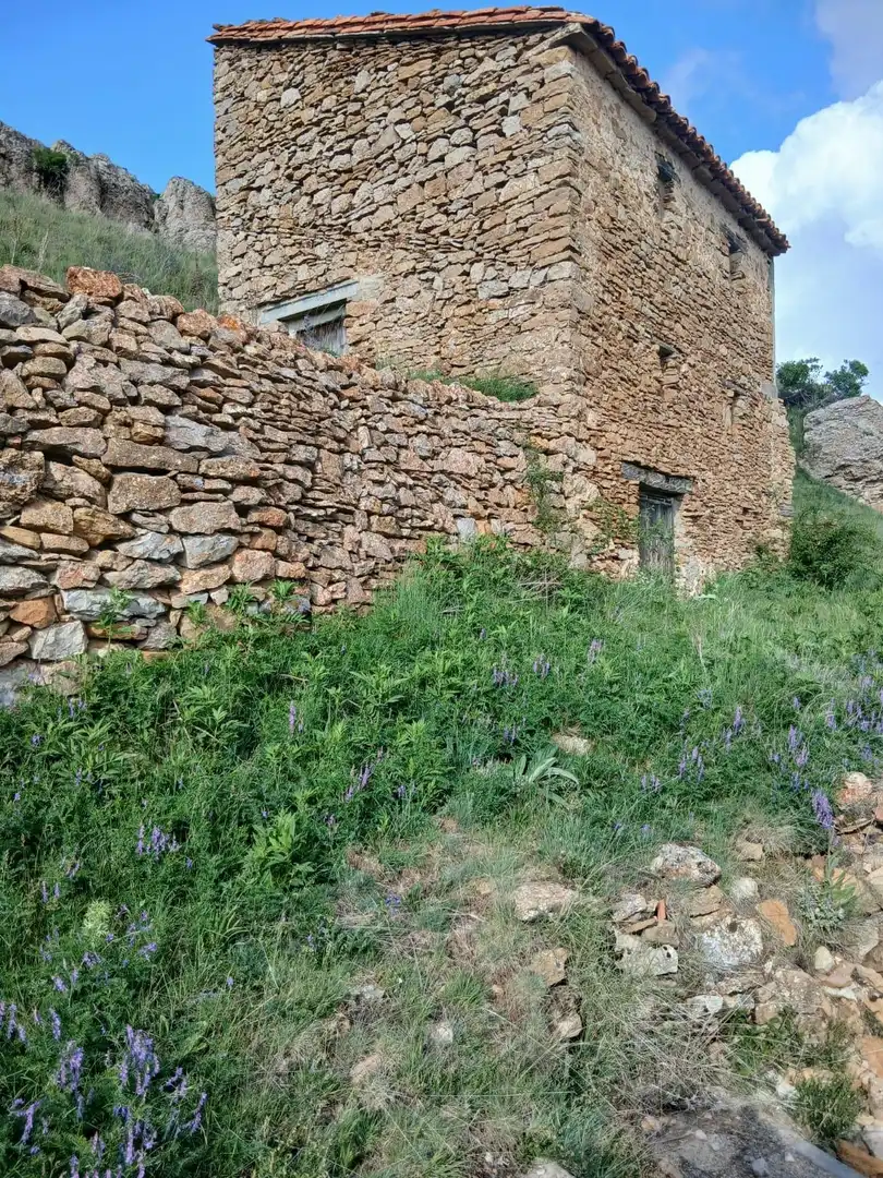 Exterior view of Houses for sale in Valdelinares