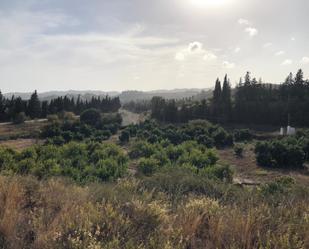 Finca rústica en venda en Mijas