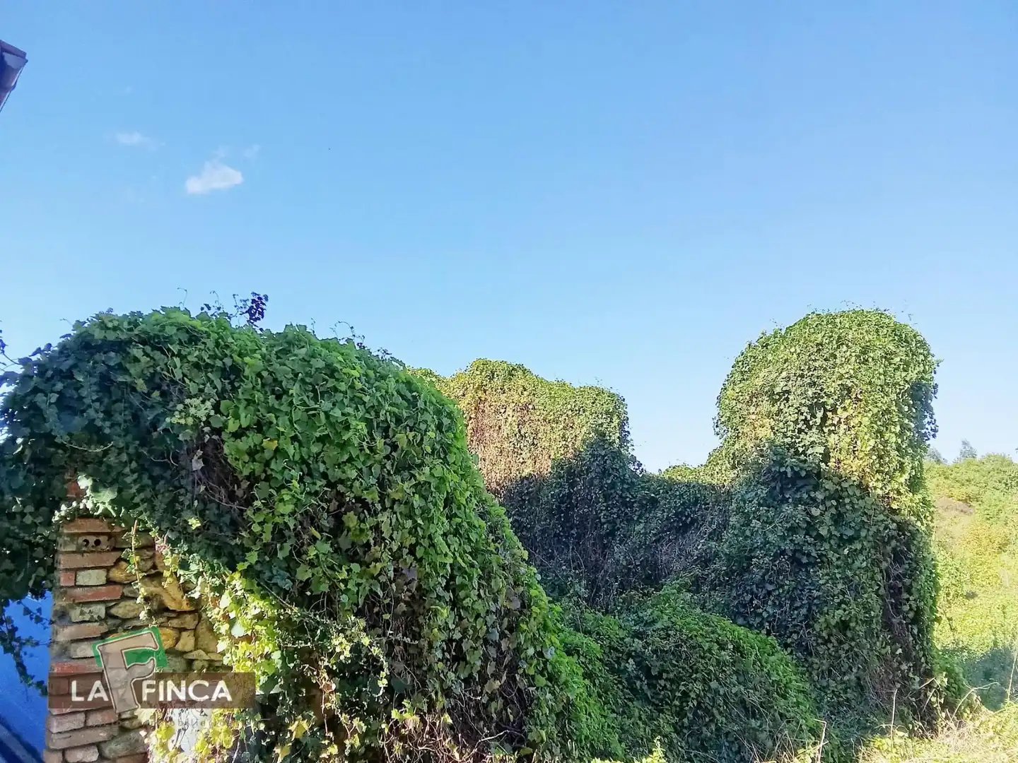 Jardín de Finca rústica en venta en Pravia