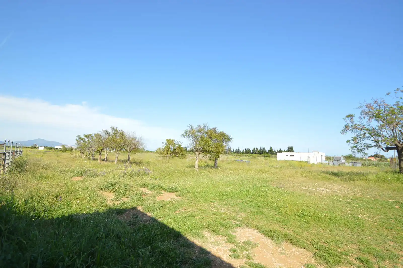 Terreno rustico in vendita a Partidas de interior - Zona Rústica, imagen 45