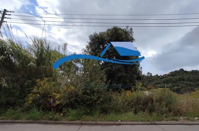 Lands and plots for sale in Flors, imagen 3