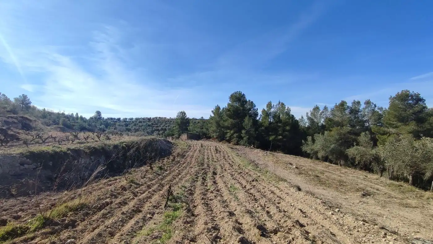 Rural land for sale in Carrer de les Pinyeres 24, imagen 4