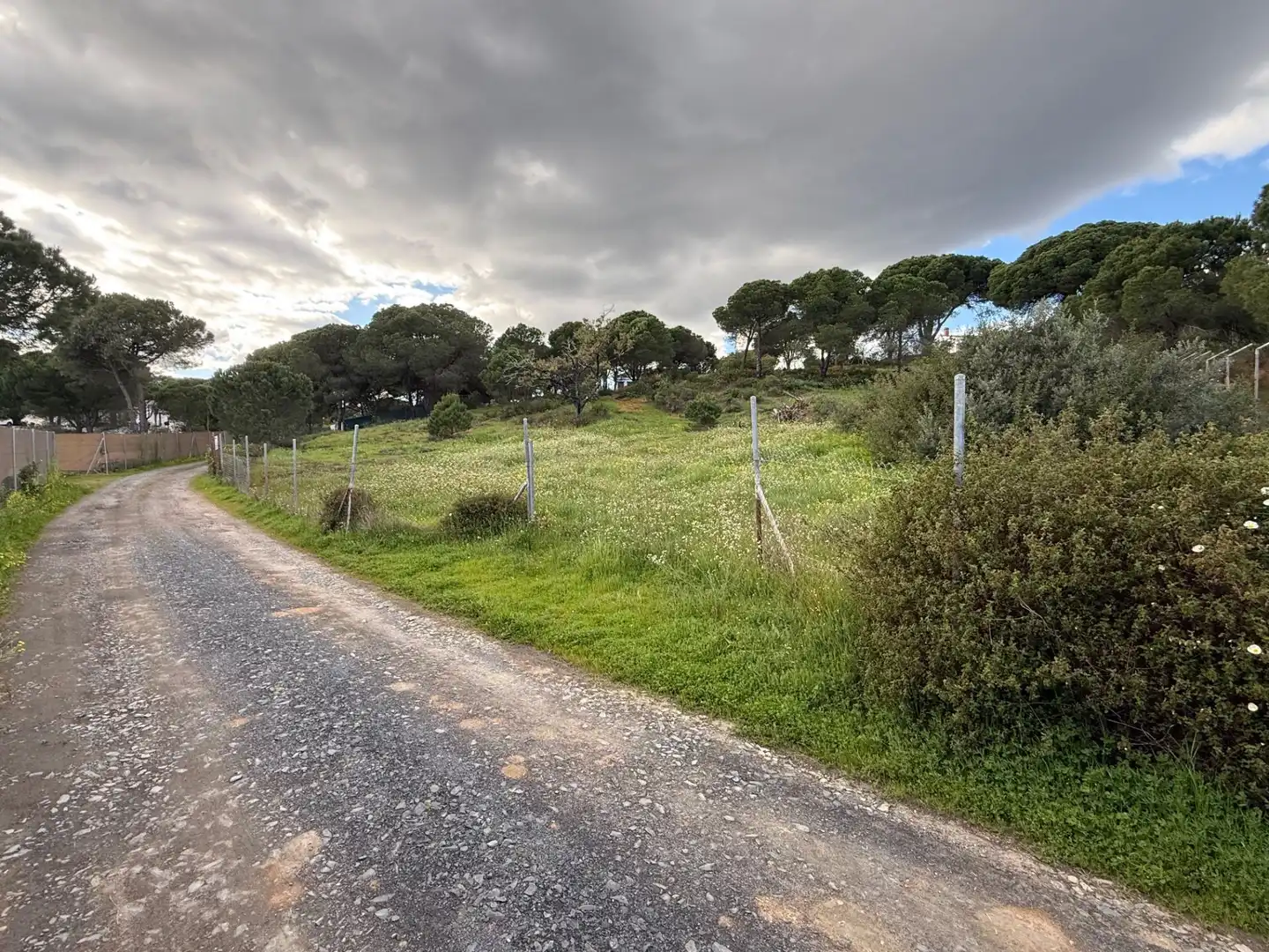 Terrenos y solares en venta en Las Palmillas, imagen 6