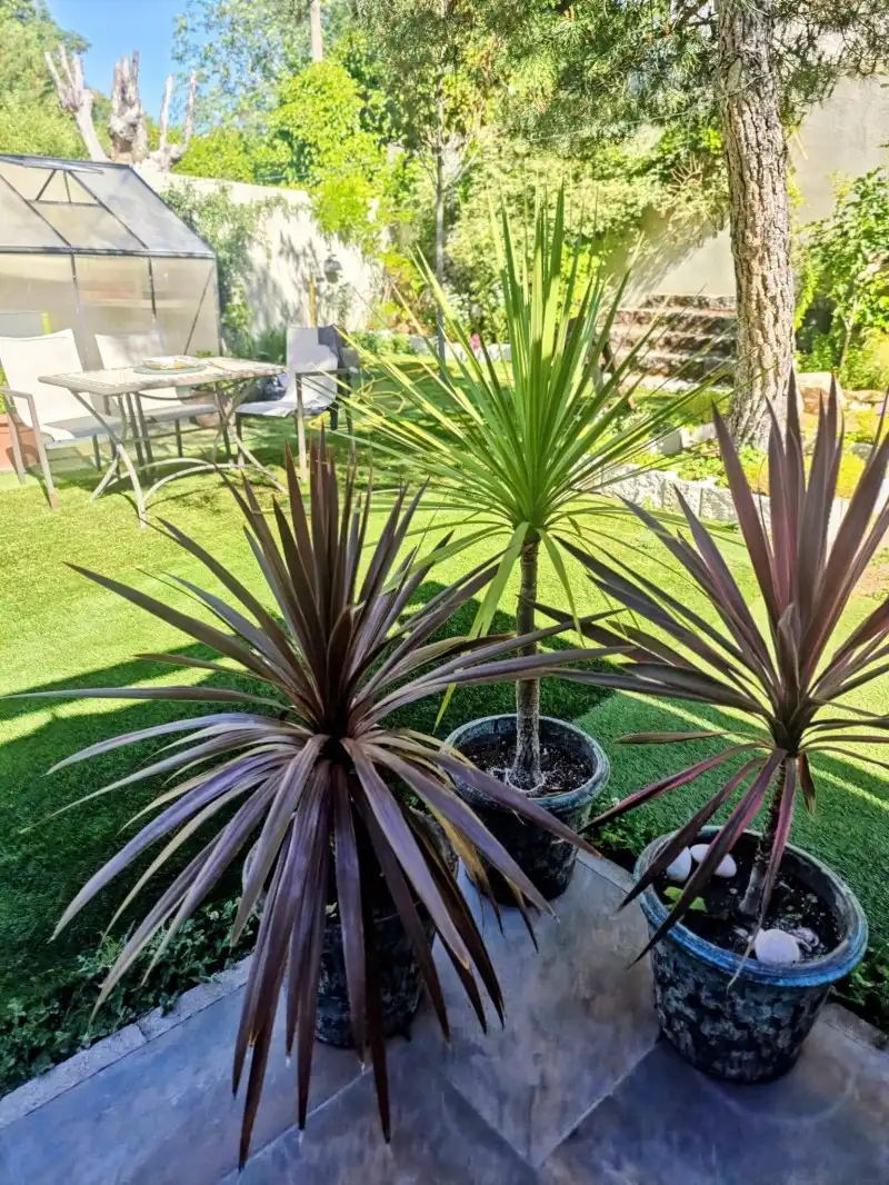 Jardí de Casa o xalet en venda en Moralzarzal amb Aire condicionat, Calefacció i Piscina