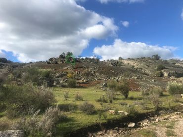 Casa en venda a San Vicente de Alcántara