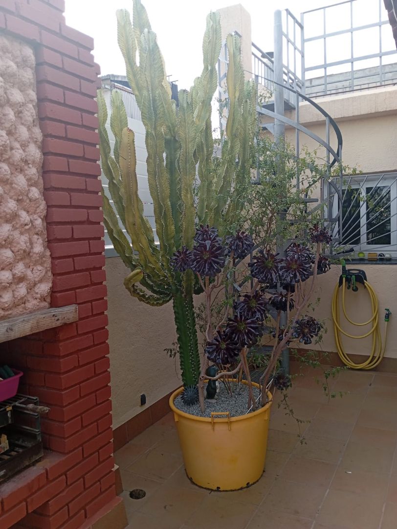 Attic for sale in Sabadell  with Air Conditioner, Heating and Terrace