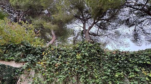 Foto 4 de Finca rústica en venta en N/a, -1, Punta Prima, Torrevieja