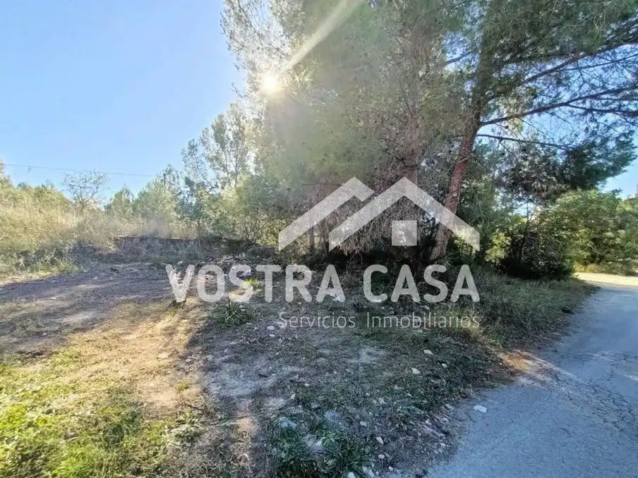 Terreno rustico in vendita a CAMINO DE LOS FELIPES, imagen 5