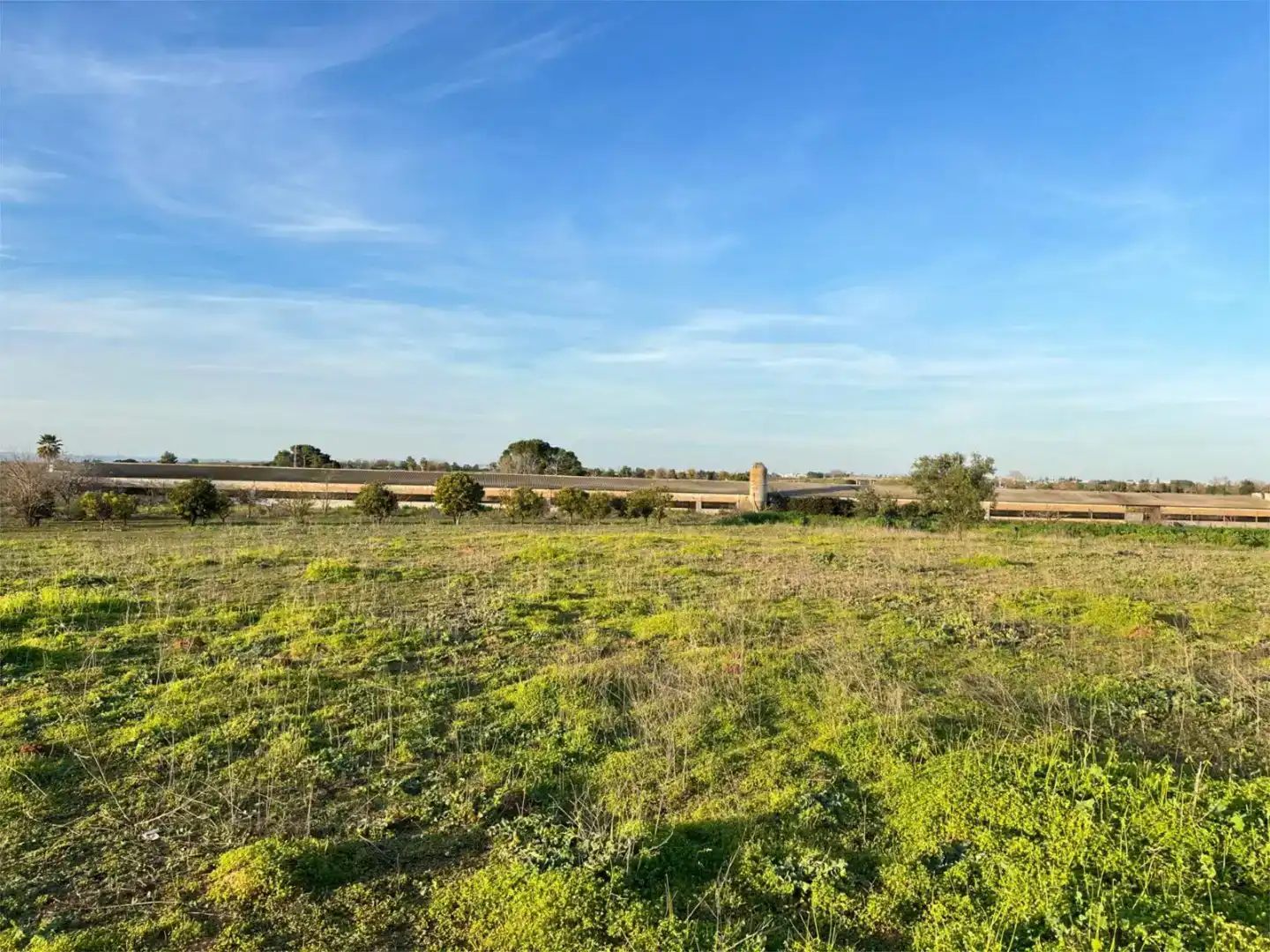 Terreno en venta en Benacazón