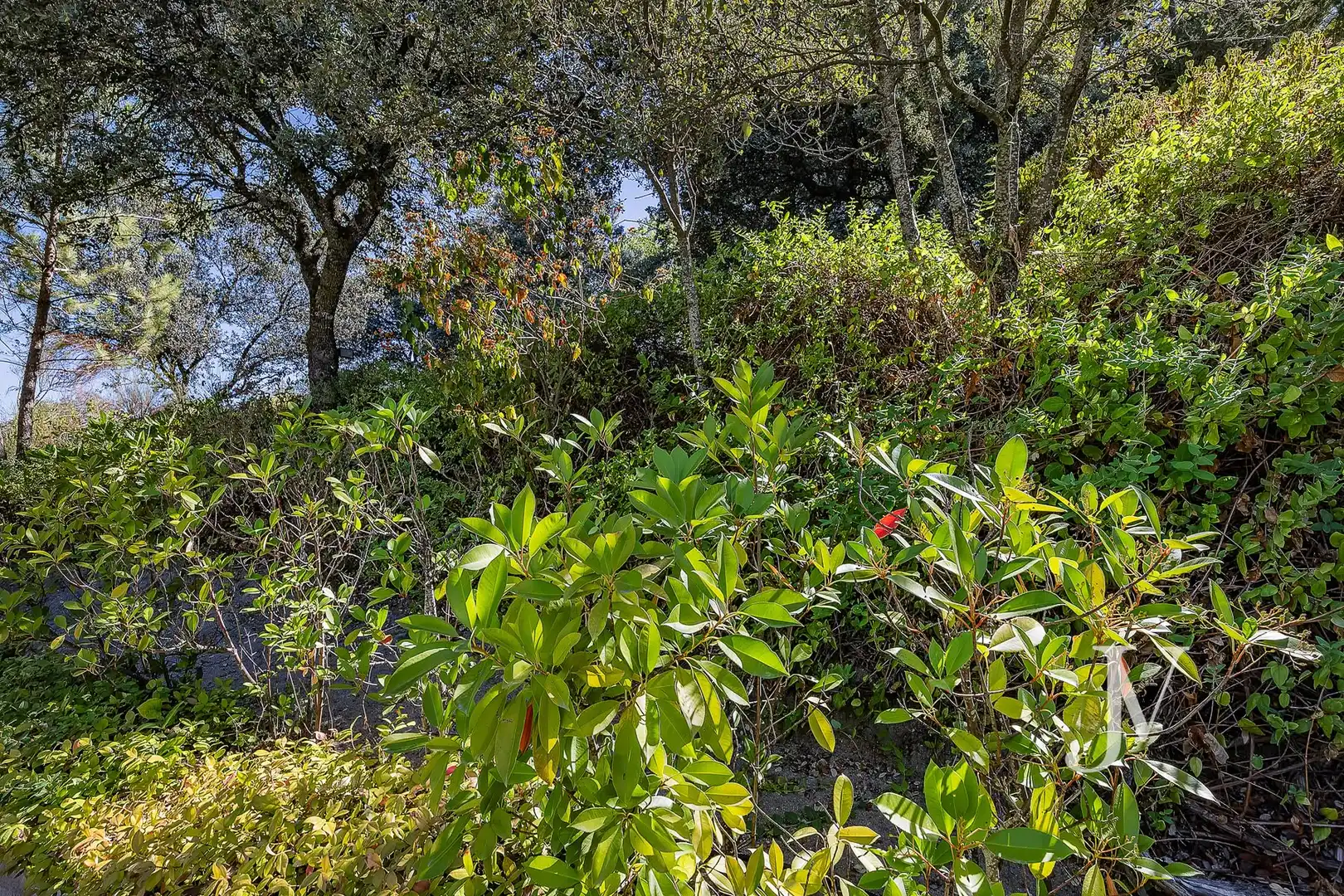 Villa avec terrasse à vendre à Ciudalcampo, imagen 43