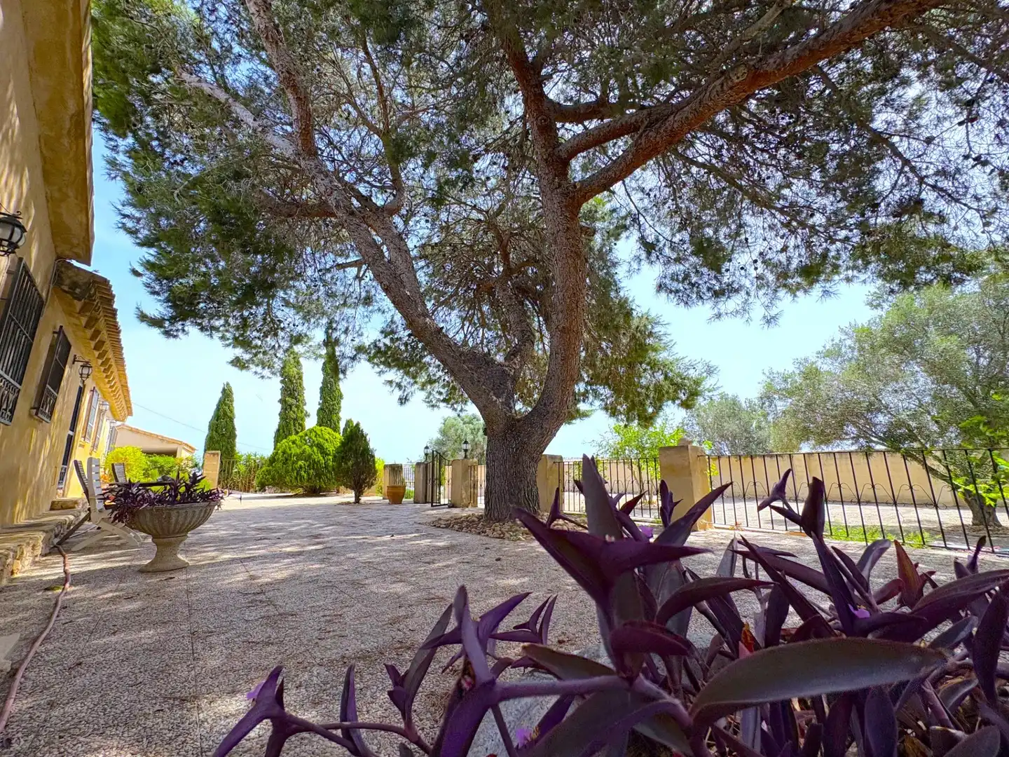 Chalet con piscina en venta en DISEMINADOS, imagen 63