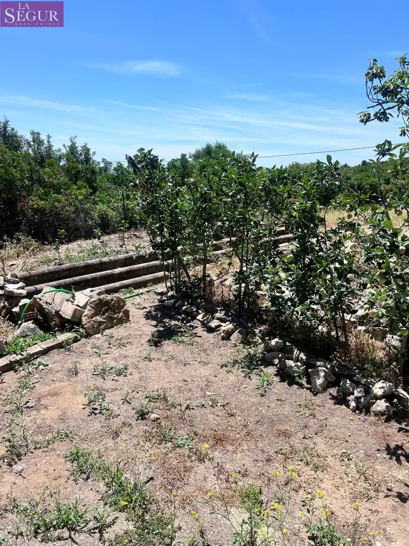 Casa o xalet en venda en Vejer de la Frontera amb Jardí privat