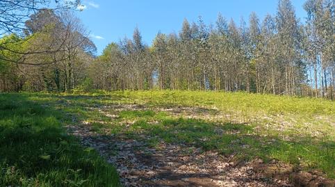 Photo 2 of Residential for sale in Burricios, Oza dos Ríos, A Coruña