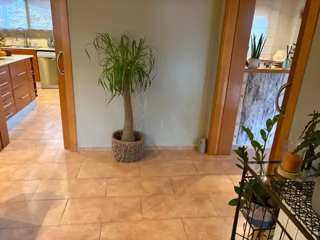 Casa o chalet en venta en Sant Esteve de Palautordera, Barcelona