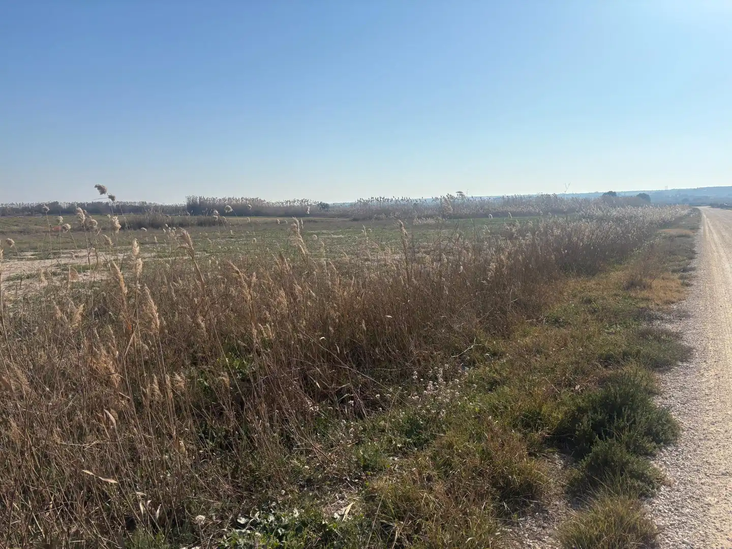 Terrain rustique à vendre à La Foia - Daimés - Asprella, imagen 24