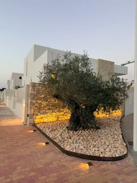 Vista exterior de Casa o xalet en venda en Dénia amb Aire condicionat, Calefacció i Jardí privat