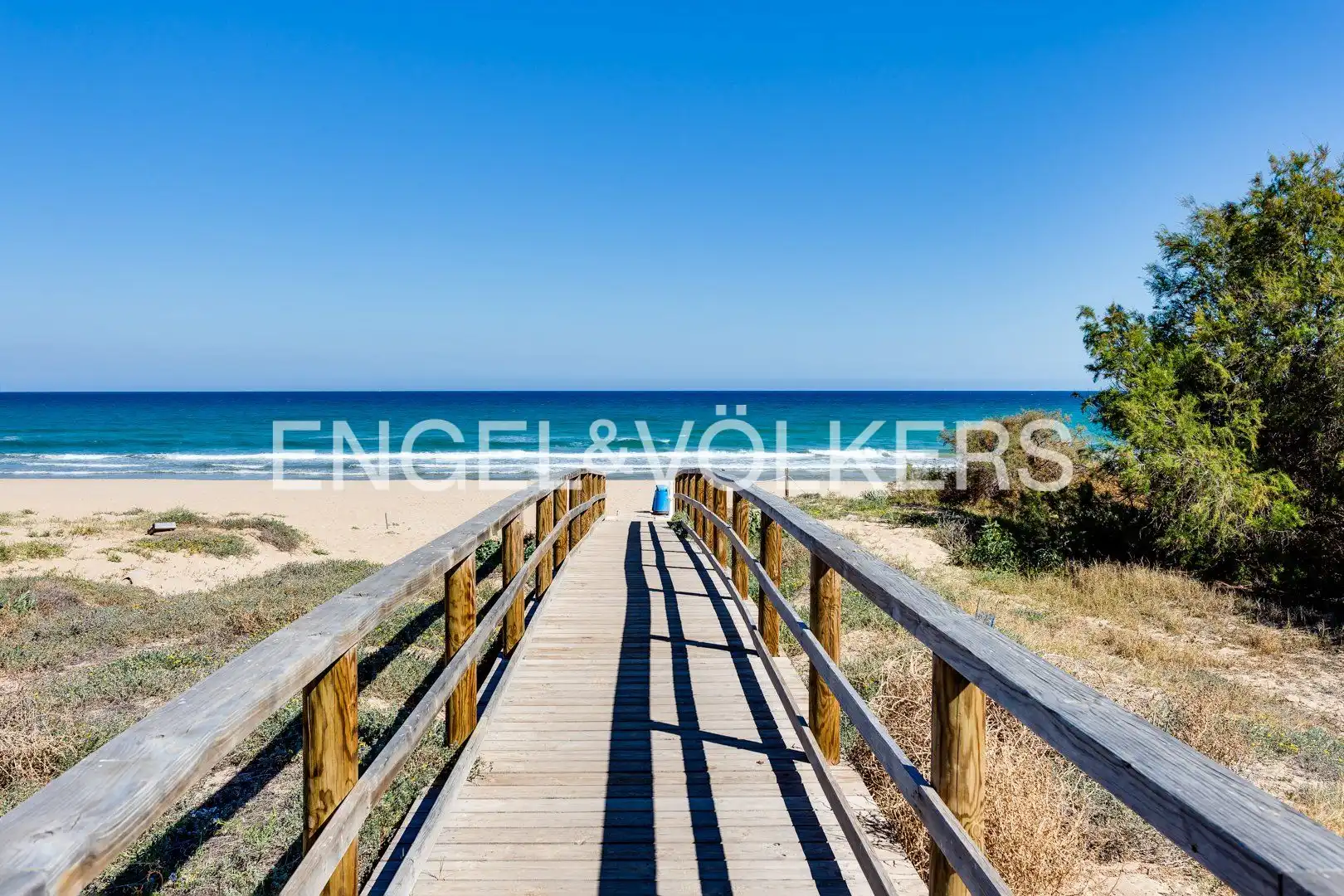 Vista exterior de Finca rústica en venta en Torrevieja con Aire acondicionado, Calefacción y Jardín privado