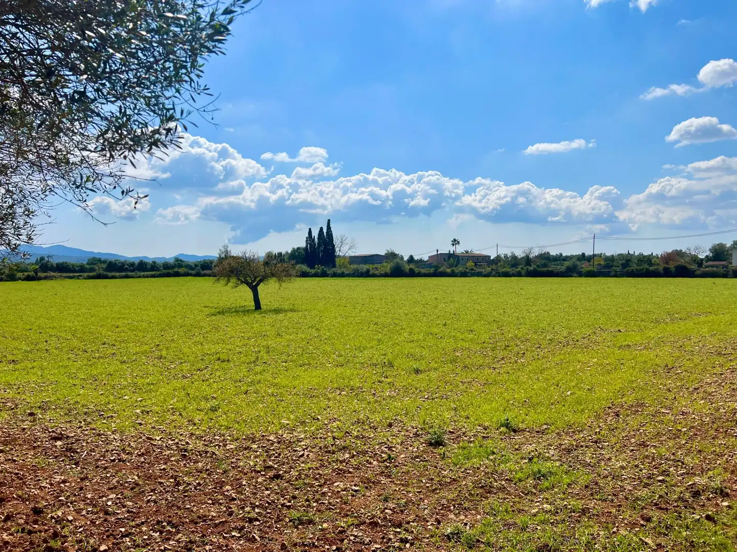 Terreny residencial en venda a Porreres, imagen 11
