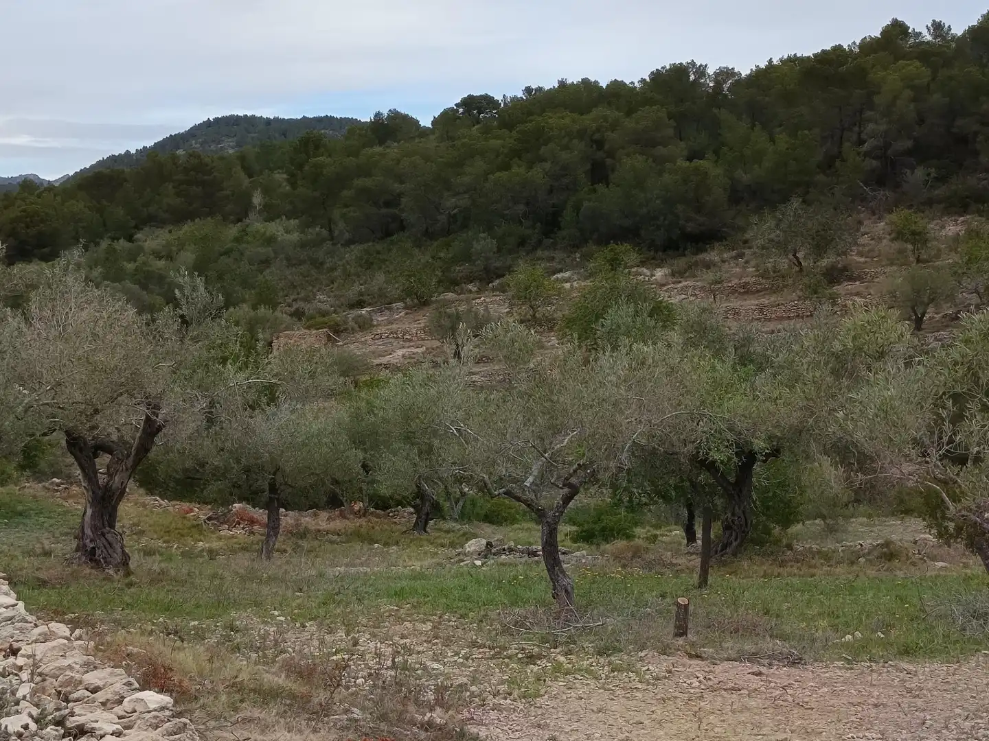 Maison rustique avec jardin à vendre à Tivissa, imagen 12